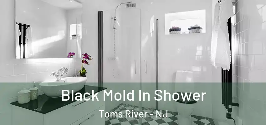  Black Mold In Shower Toms River - NJ