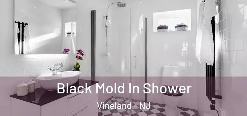  Black Mold In Shower Vineland - NJ