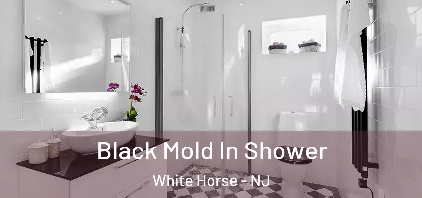  Black Mold In Shower White Horse - NJ
