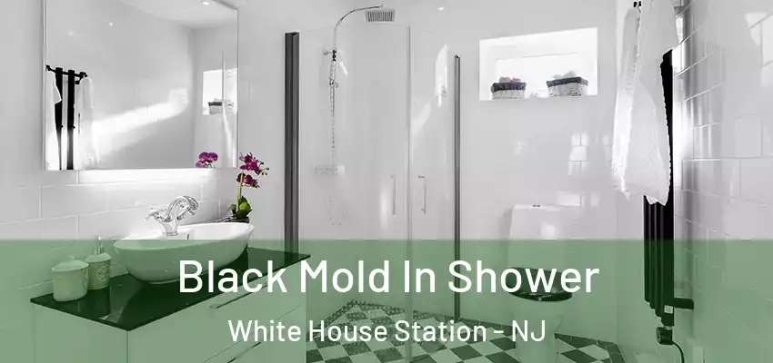  Black Mold In Shower White House Station - NJ