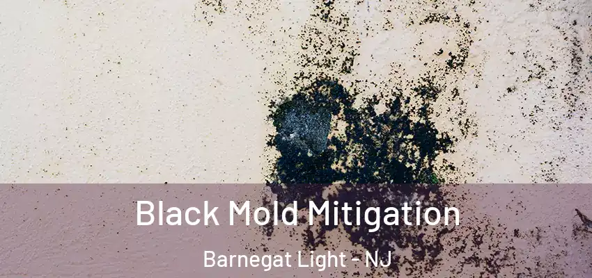 Black Mold Mitigation Barnegat Light - NJ