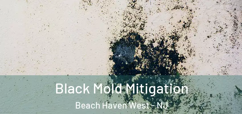  Black Mold Mitigation Beach Haven West - NJ