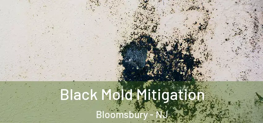  Black Mold Mitigation Bloomsbury - NJ