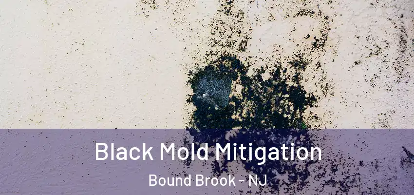 Black Mold Mitigation Bound Brook - NJ