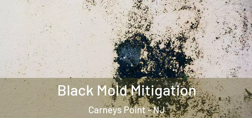 Black Mold Mitigation Carneys Point - NJ