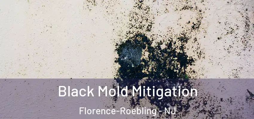 Black Mold Mitigation Florence-Roebling - NJ