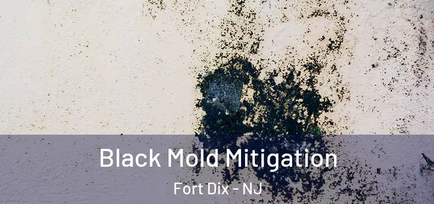  Black Mold Mitigation Fort Dix - NJ