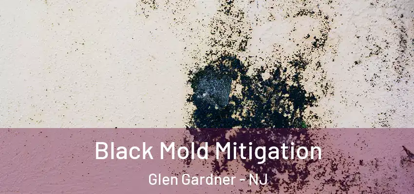  Black Mold Mitigation Glen Gardner - NJ