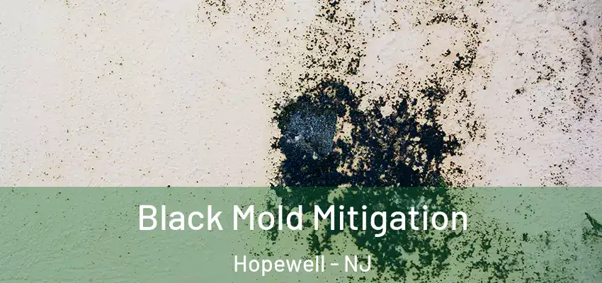  Black Mold Mitigation Hopewell - NJ