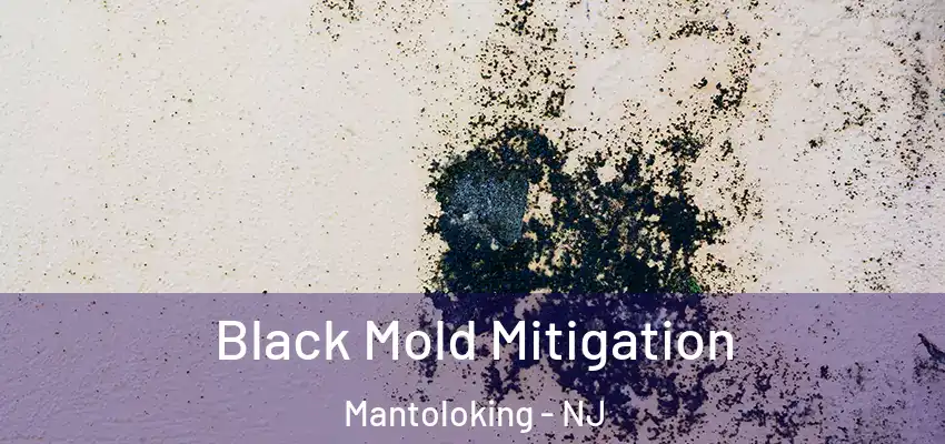  Black Mold Mitigation Mantoloking - NJ
