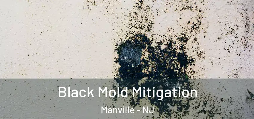  Black Mold Mitigation Manville - NJ