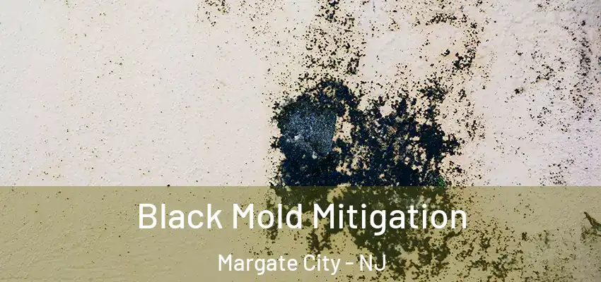 Black Mold Mitigation Margate City - NJ