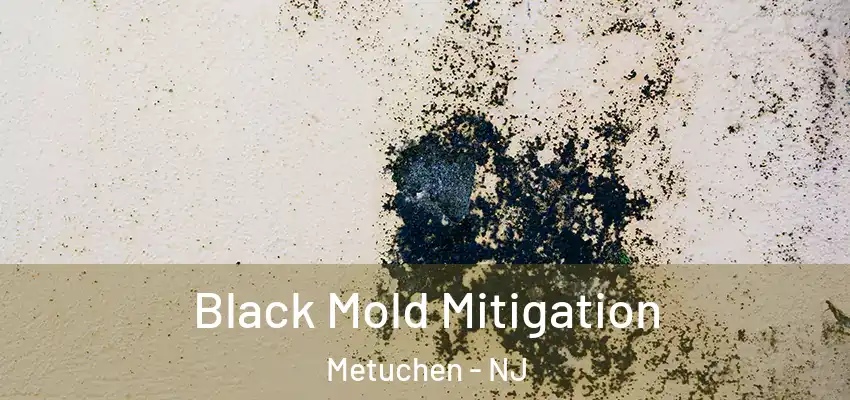  Black Mold Mitigation Metuchen - NJ
