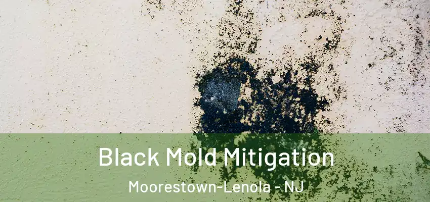  Black Mold Mitigation Moorestown-Lenola - NJ