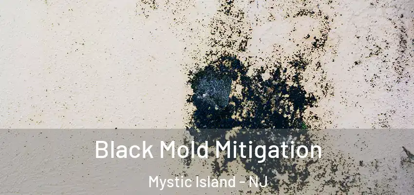  Black Mold Mitigation Mystic Island - NJ