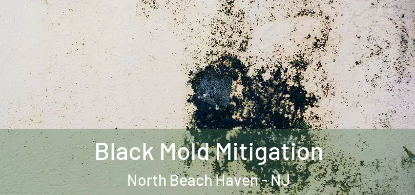 Black Mold Mitigation North Beach Haven - NJ
