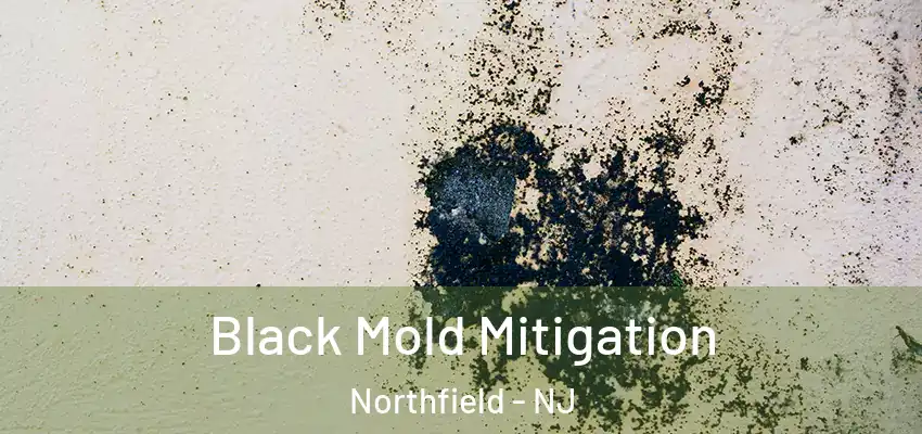 Black Mold Mitigation Northfield - NJ