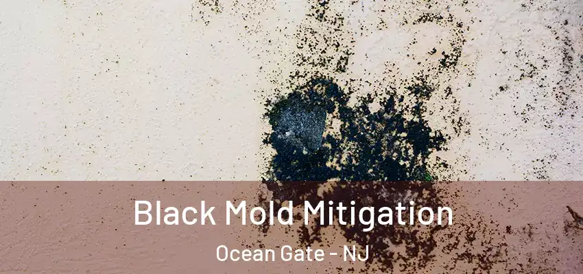  Black Mold Mitigation Ocean Gate - NJ