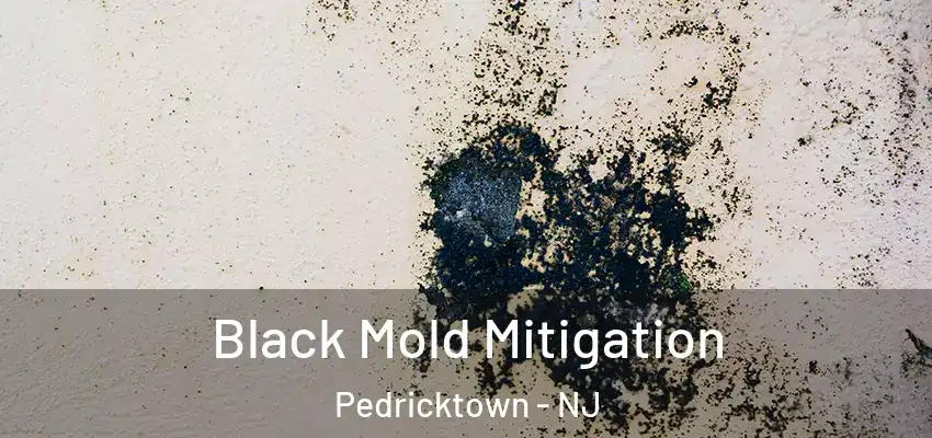  Black Mold Mitigation Pedricktown - NJ