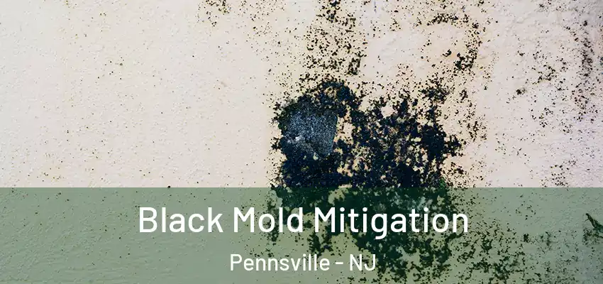  Black Mold Mitigation Pennsville - NJ