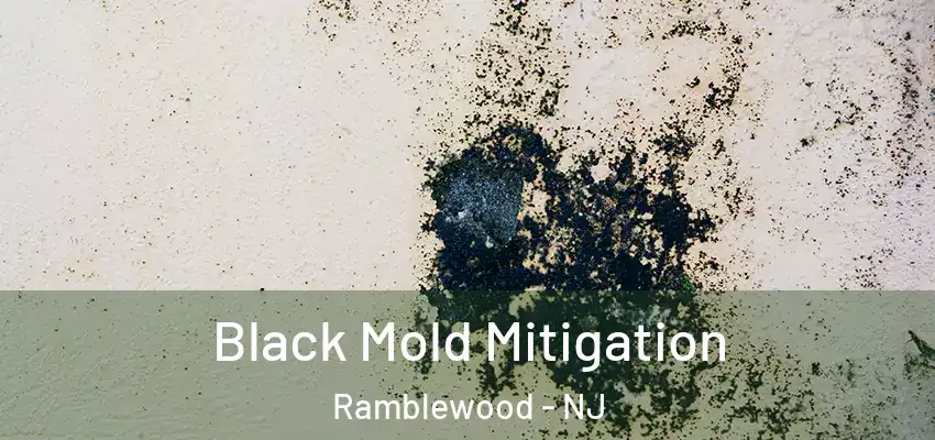 Black Mold Mitigation Ramblewood - NJ