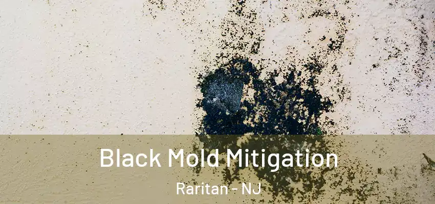 Black Mold Mitigation Raritan - NJ