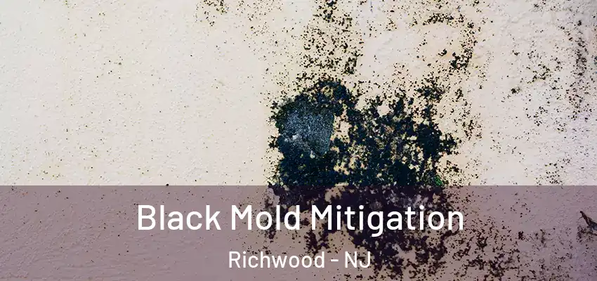 Black Mold Mitigation Richwood - NJ