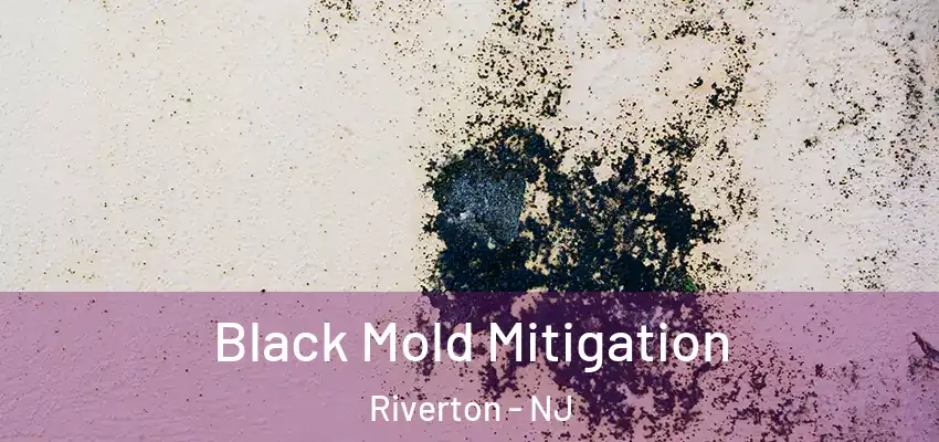  Black Mold Mitigation Riverton - NJ