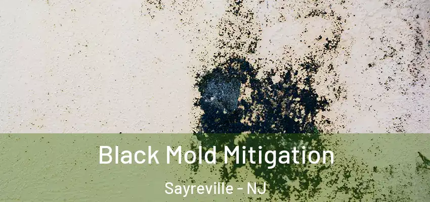  Black Mold Mitigation Sayreville - NJ