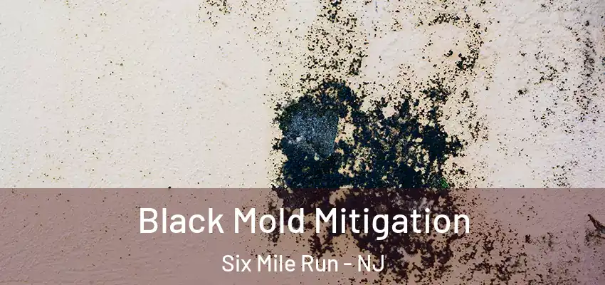 Black Mold Mitigation Six Mile Run - NJ