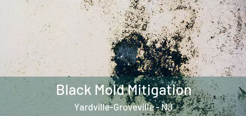  Black Mold Mitigation Yardville-Groveville - NJ