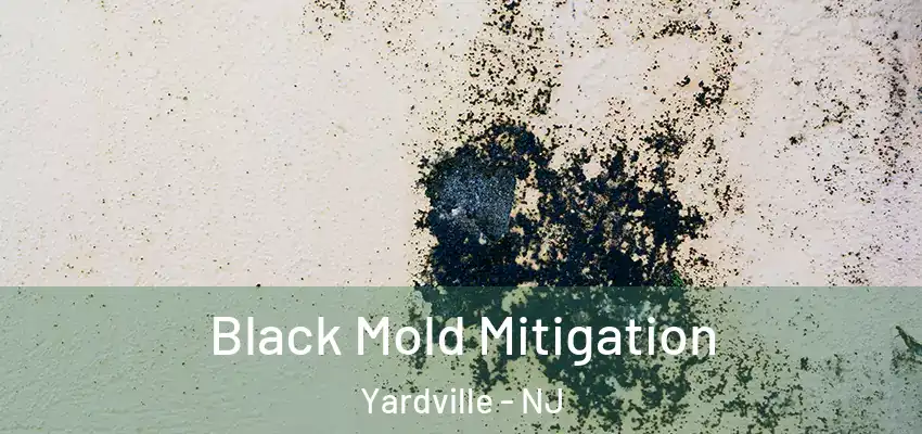 Black Mold Mitigation Yardville - NJ