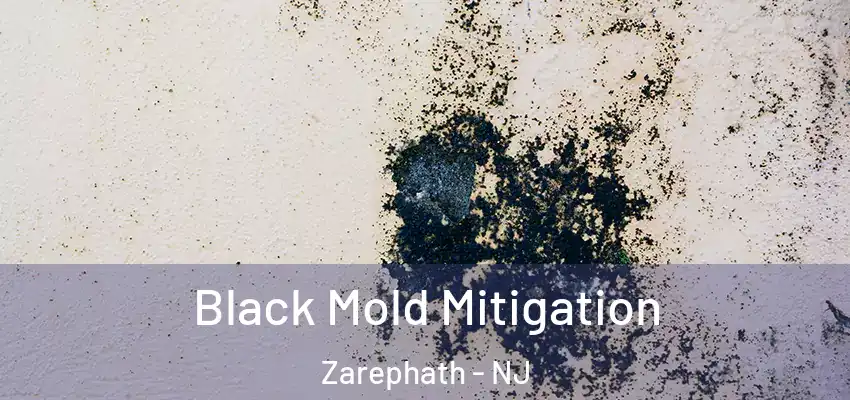 Black Mold Mitigation Zarephath - NJ