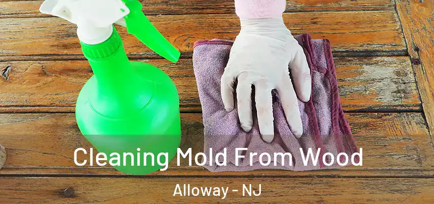  Cleaning Mold From Wood Alloway - NJ