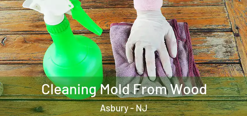 Cleaning Mold From Wood Asbury - NJ