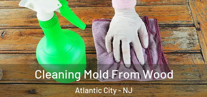 Cleaning Mold From Wood Atlantic City - NJ