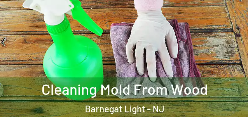 Cleaning Mold From Wood Barnegat Light - NJ