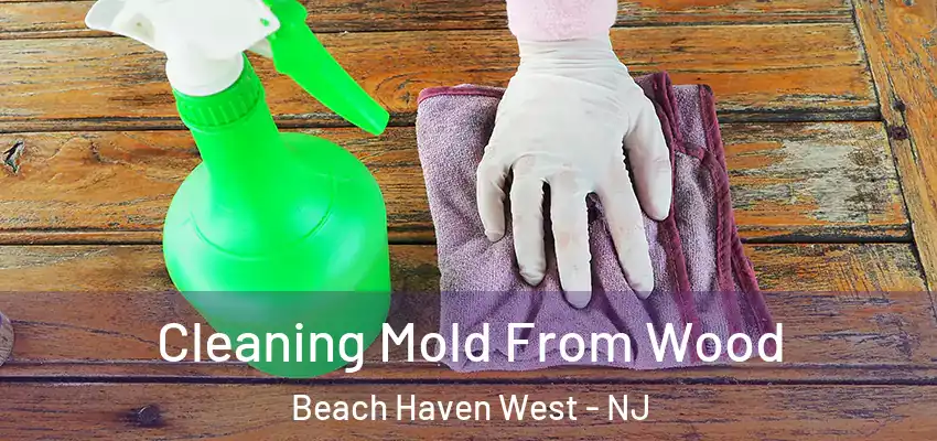Cleaning Mold From Wood Beach Haven West - NJ