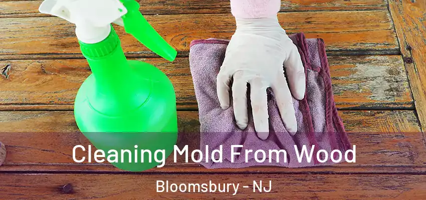 Cleaning Mold From Wood Bloomsbury - NJ