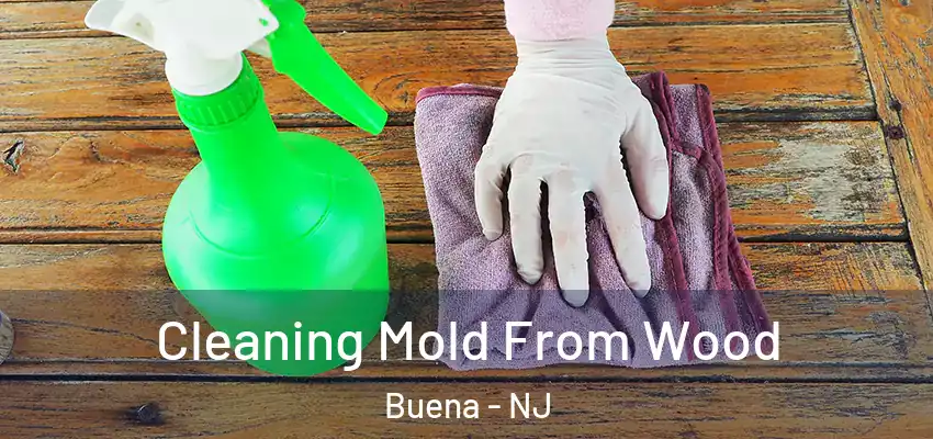  Cleaning Mold From Wood Buena - NJ