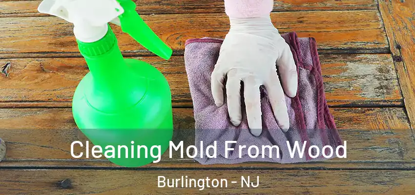 Cleaning Mold From Wood Burlington - NJ