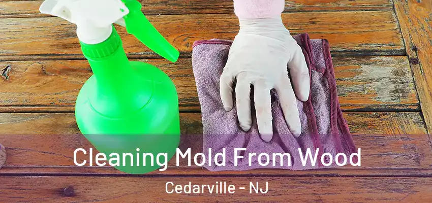 Cleaning Mold From Wood Cedarville - NJ