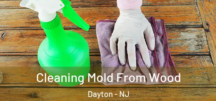 Cleaning Mold From Wood Dayton - NJ
