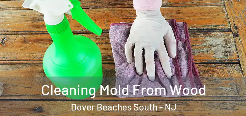 Cleaning Mold From Wood Dover Beaches South - NJ