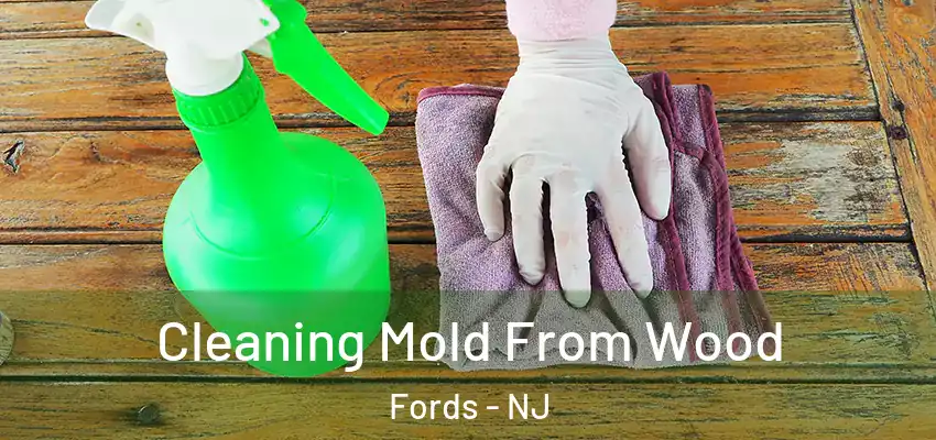 Cleaning Mold From Wood Fords - NJ