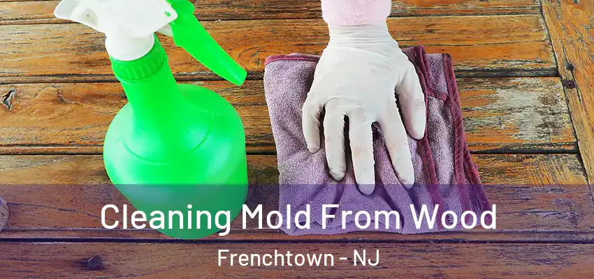 Cleaning Mold From Wood Frenchtown - NJ