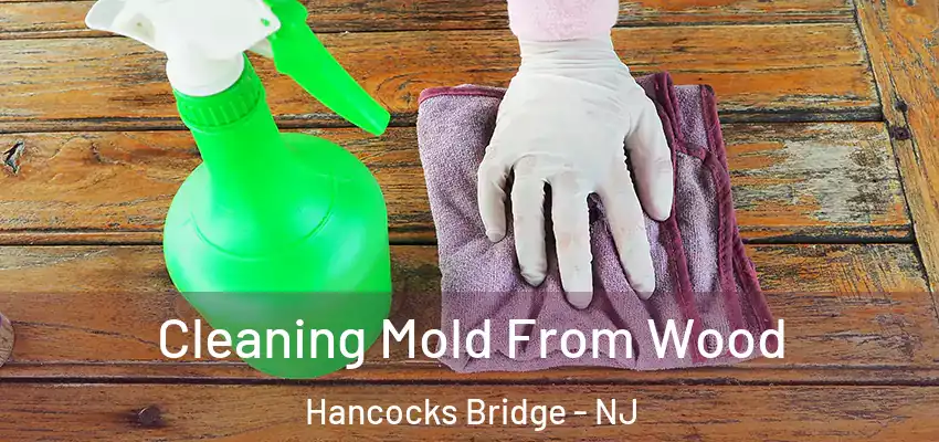  Cleaning Mold From Wood Hancocks Bridge - NJ
