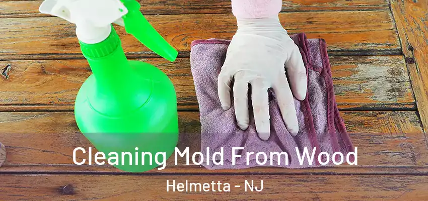  Cleaning Mold From Wood Helmetta - NJ