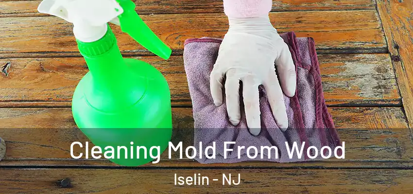  Cleaning Mold From Wood Iselin - NJ