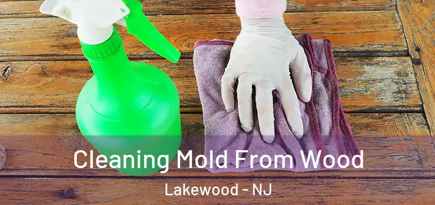  Cleaning Mold From Wood Lakewood - NJ